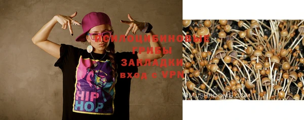 дурь Аркадак