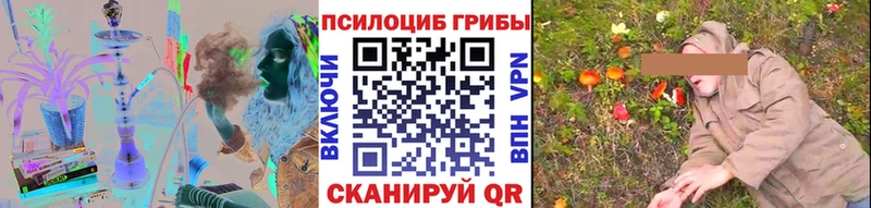 Псилоцибиновые грибы Psilocybe  дарнет шоп  Сурск 
